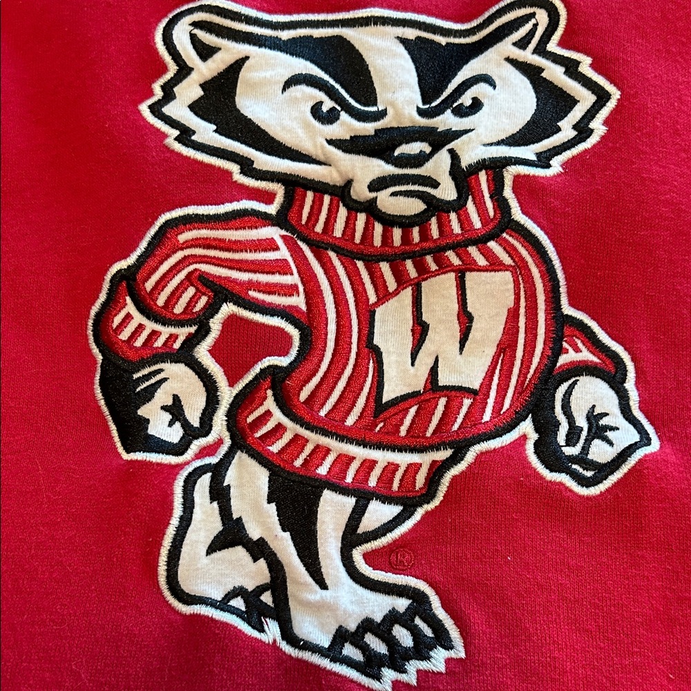 Colosseum Red Hoodie with appliqué Bucky badger Mascot Design - Picture 4 of 4